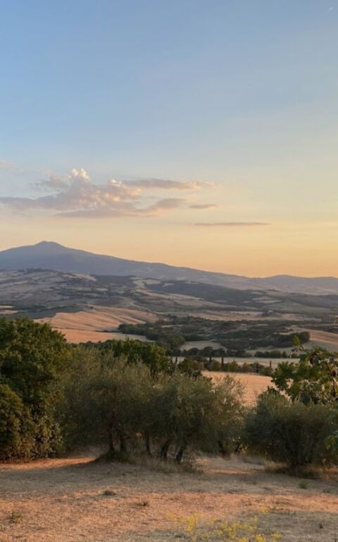 Podere i Prati: Scenic View