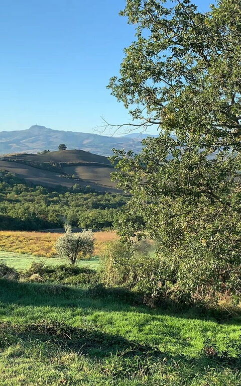 Podere i Prati: Scenic View