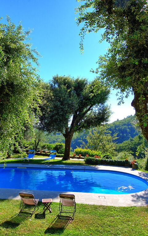 Villa Ulivacci: Garden, Pool