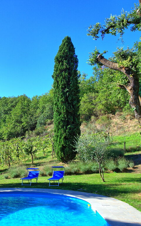 Villa Ulivacci: Pool