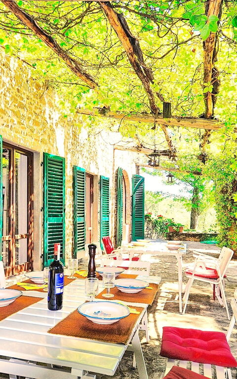 Villa Ulivacci: Outdoor