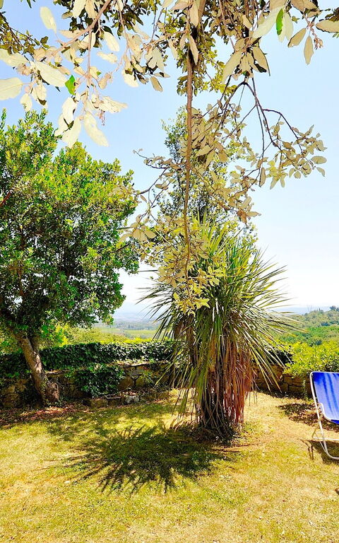 Villa Ulivacci: Garden