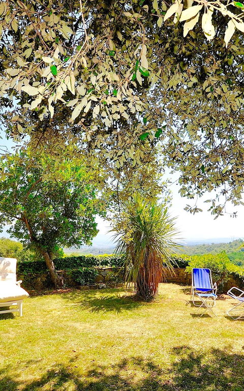 Villa Ulivacci: Garden