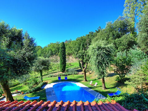Villa Ulivacci