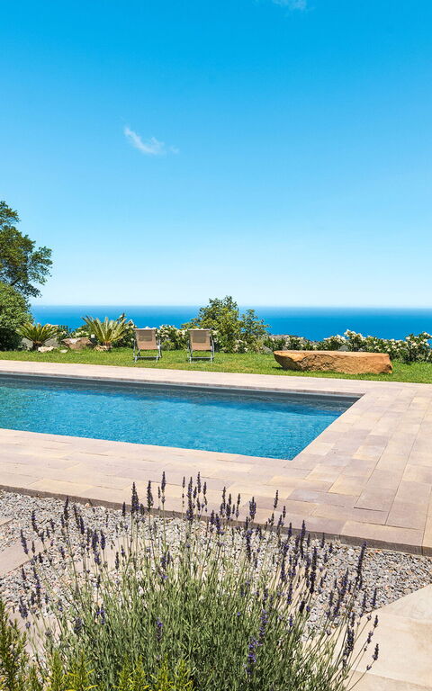 Casita: Building Exterior, Garden, Outdoor, Pool