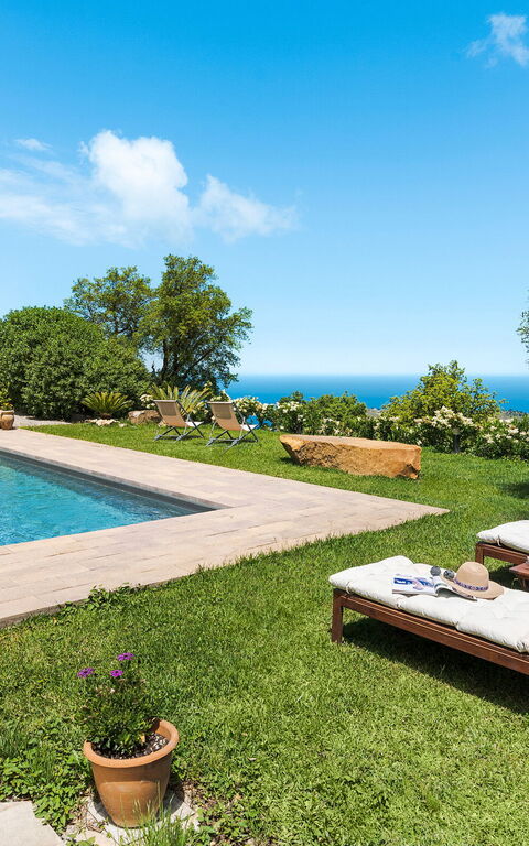 Casita: Building Exterior, Garden, Outdoor, Pool