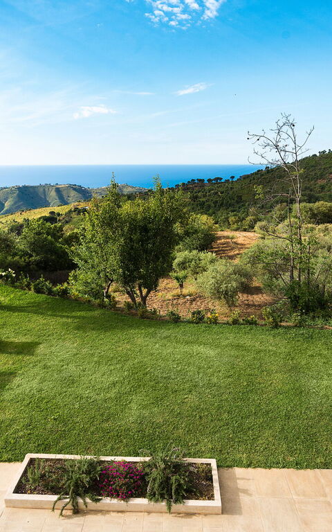 Casita: Building Exterior, Garden, Outdoor