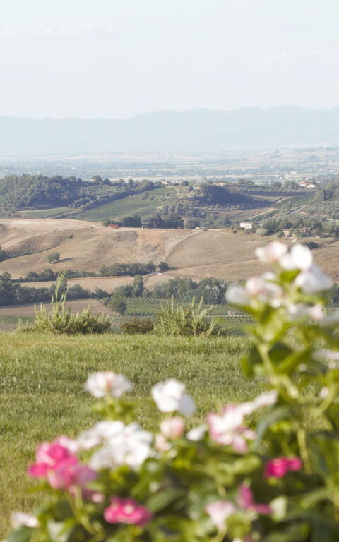 Villa Icario: Building Exterior, Garden, Outdoor, Scenic View