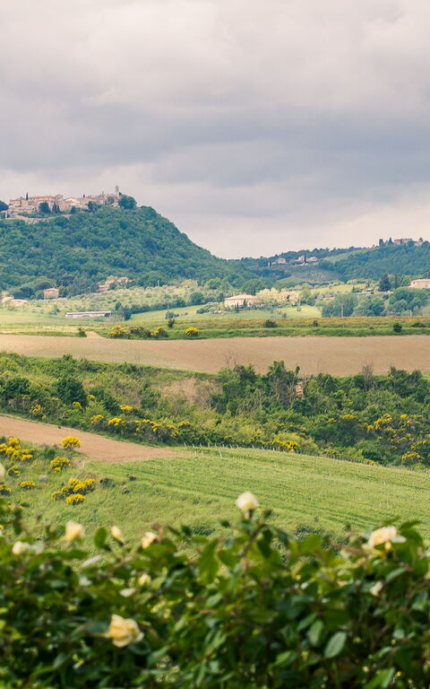 Villa Icario: Scenic View