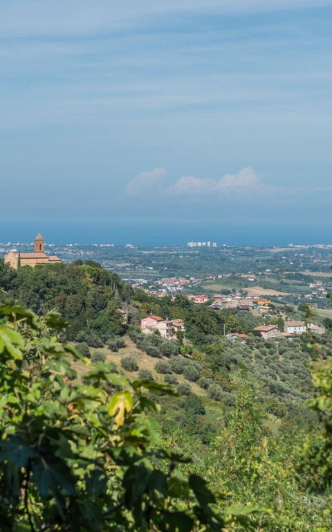 Villa Belvedere San Bartolo: Scenic View