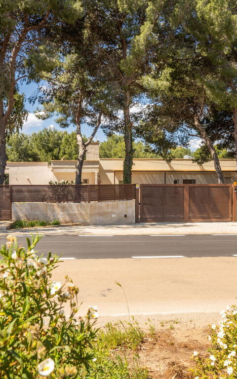 Essenza di Pace: Main Entrance