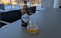 Photo submitted by guest of Villa Paradisus