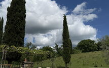 Photo submitted by guest of Villa Lo Scoiattolo