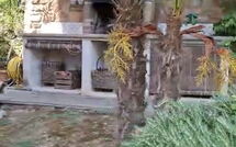 Photo submitted by guest of Casale di Cozzile