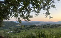 Photo submitted by guest of San Guido