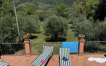 Photo submitted by guest of Casa Vania