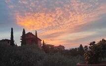 Photo submitted by guest of Casa Vania