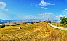 Photo submitted by guest of Casale Santa Francesca