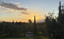 Photo submitted by guest of Il Sole di Vino - Sole di Vino - 1