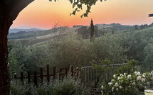 Photo submitted by guest of Tenuta Cambiano