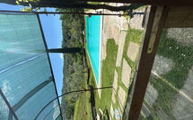 Photo submitted by guest of Villa Lo Scoiattolo