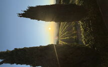 Photo submitted by guest of Villa Simone