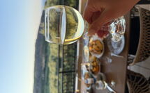 Photo submitted by guest of Villa Aetheria