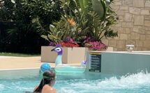 Photo submitted by guest of Villa Serenity