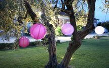 Photo submitted by guest of Podere Romina - Stalla Apartment