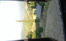 Photo submitted by guest of Villa Poggiolino