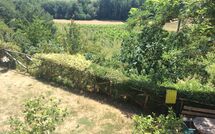 Photo submitted by guest of Casale Giotto