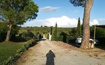 Photo submitted by guest of Podere Romina - Belvedere Apartment