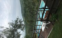 Photo submitted by guest of La Ruota