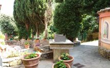 Photo submitted by guest of Casa Vania