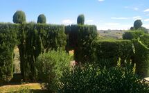 Photo submitted by guest of Montegufoni