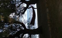 Photo submitted by guest of Villa Romantic Sevi