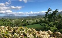 Photo submitted by guest of Casale Giotto