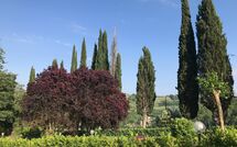 Photo submitted by guest of Villa Sabrina