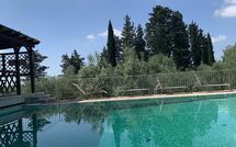 Photo submitted by guest of Tenuta Cambiano