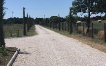 Photo submitted by guest of Villa dei Vini