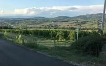 Photo submitted by guest of San Carlo