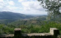 Photo submitted by guest of Panzalla