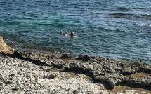 Photo submitted by guest of Marisol