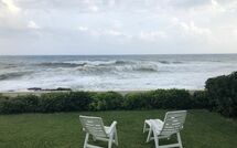 Photo submitted by guest of Marisol