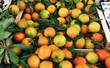 Photo submitted by guest of San Carlo