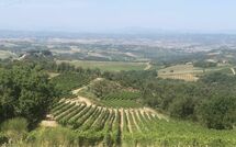 Photo submitted by guest of Villa Il Caggio