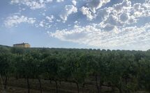 Photo submitted by guest of Villa Il Caggio