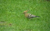 Photo submitted by guest of Casa Lucia