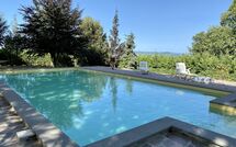 Photo submitted by guest of Ginestrella