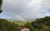 Photo submitted by guest of Villa Casentino